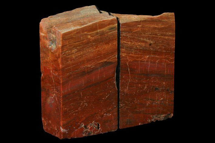 Tall, Arizona Petrified Wood Bookends - Red & Orange #166073